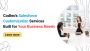 Codleo’s Salesforce Customization Services – CRM Tailored to