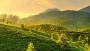 10 Days Kerala Tour Packages