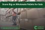 Score Big on Wholesale Pallets for Sale | Commerce Central