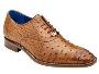 Unique and Luxurious Men's Exotic Shoes