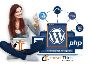 WordPress Website Development – Converthink Solutions