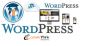 Pro WordPress Services