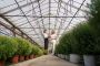 Turnkey Greenhouses Construction
