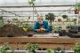 Greenhouse Design Services