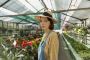 Commercial Greenhouse Construction