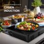 Cygen Induction Stove: The Best Induction Cooktop