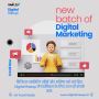Digital Marketing Institute in Rohtak