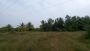 LOW BUDGET FARM LAND SALE AT SRIPERUMBUDUR