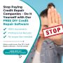 Free DIY Credit Repair Software