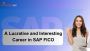 In 2023, is SAP FICO A Rewarding Career?