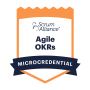 Are You Looking for SAFe Portfolio Management Training