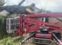 Best Tree Removal Service in Hitchin