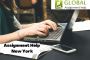 Online Assignment Help New York.
