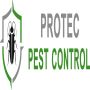 Advanced Termite Treatment in Adelaide