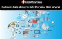Outsource Data Mining to Data Plus Value Web Services