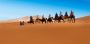 Sahara Desert Tours Morocco with Uniquely Morocco – Adventur