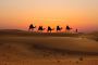 Discover the Magic of Morocco with Uniquely Morocco Custom T
