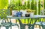 Lush Living with Plants in Venice | Urban Jungle