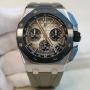 Audemars Piguet Watches