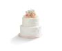 Wedding cakes two tier