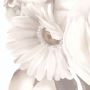White Flower Decals: Transform Your Nursery With Style
