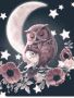 Dearest Little Decals: Floral and Star Wall Decals for a Mag