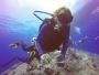 Enroll in SSI Specialty Courses in Andaman Islands