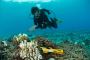 Enroll in The SSI Open Water Diver Course in Andaman 