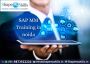 Top SAP MM Training in Noida 