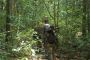 Green Timber Hunts