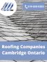 Roofing Companies Cambridge Ontario