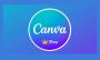 Which Is Better in 2025 — Canva or Adobe Express