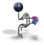 Revolutionary Tech for RNA-Targeted Drug Discovery (MAGNA™)
