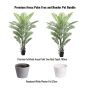 Buy beautiful indoor hanging pots online