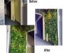 Transform home or commercial space with artificial hedge