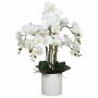 Place your order for carefully made artificial orchid flower