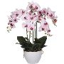 Install Small Fake Succulent Plants to Bring in Effortless G