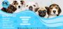Pet Shop in South Delhi | Pet Shop in Delhi | Pet Shop Near 
