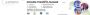 Custom Software Development Services – Desun Technology | Ta