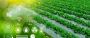 Best Agtech Software Development Company