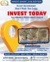 Dholera real estate company