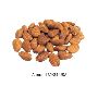 Buy Almond 32/34 USA - Available at Wholesale Prices