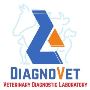 Pet Lab Near Me Pet Lab Near Me