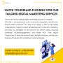 digital marketing agencies in gurgaon - digital cappuccino