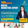 Best Digital Marketing Course in Raipur
