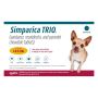 Simparica Trio for Dogs 2.8-5.5LBS[Gold] at the Lowest Price