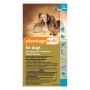 Buy Advantage Multi [Advocate] Medium Dogs 9.1-20 LBS [Aqua]