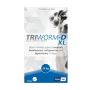 Shop Triworm-D Dewormer-Large Dogs 77LBS at the Lowest Price