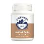 Buy Dorwest Malted Kelp Tablets for Dogs and Cats Online