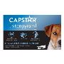 Buy Capstar for Small Dog 2-25LBS [Blue] Online